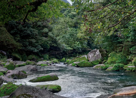 Open-air hot spring bath next to the Amorigawa River at Myoken Ishiharaso, Kagoshima