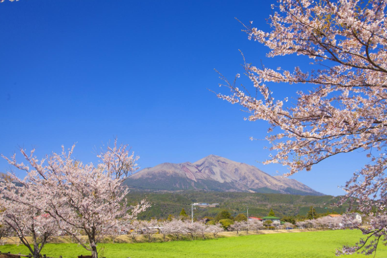 screenshot 2026 03 12 09.36.57